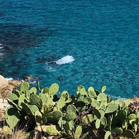 Apartamento Mazet Les Issambres / Ste-maxime
